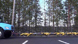 外国人研究四足机器人,国内四足仿生机器人研究现状