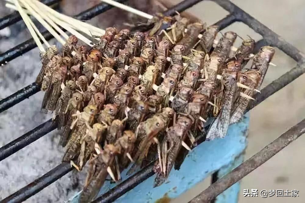 揭秘五种不能吃的街头小吃,全国各地黑暗小吃