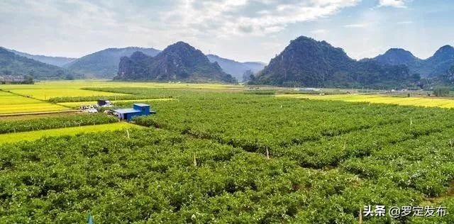 云浮十条乡村旅游精品线路发布,罗定这两条线路入选!