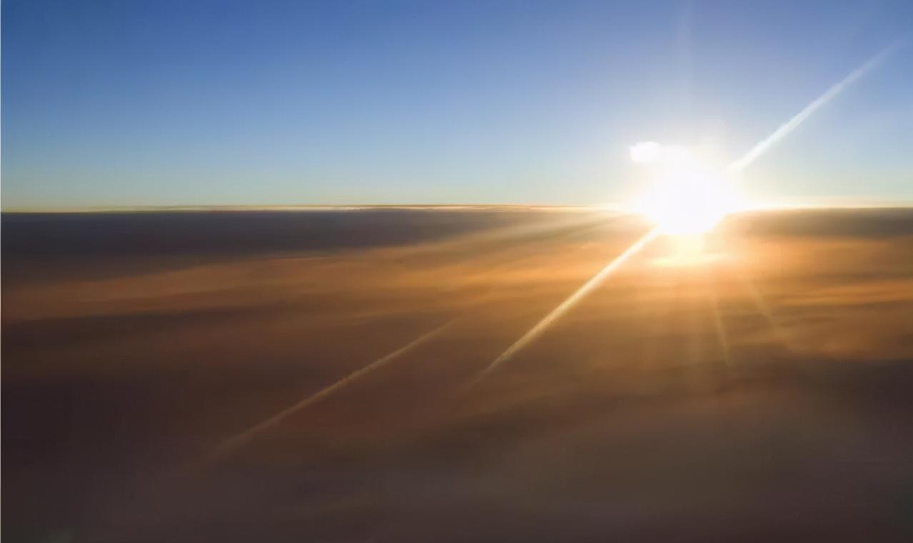 中药为什么能治病原理,中药为何有效果