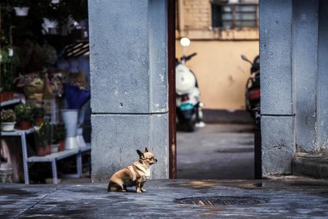 昆明附近一个人玩的地方,昆明周边城市适合一个人去的地方
