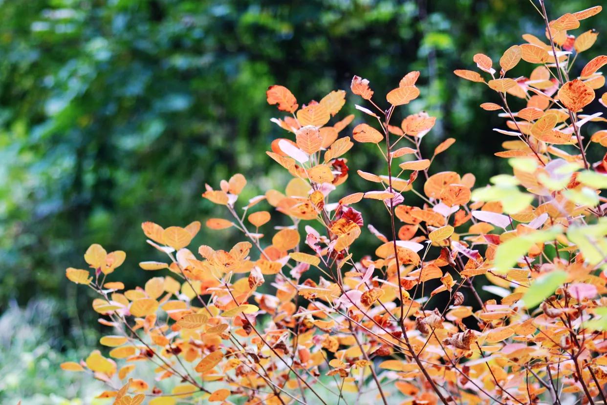 邯郸七步沟景区好玩吗多少钱,邯郸东太行七步沟景区的全景