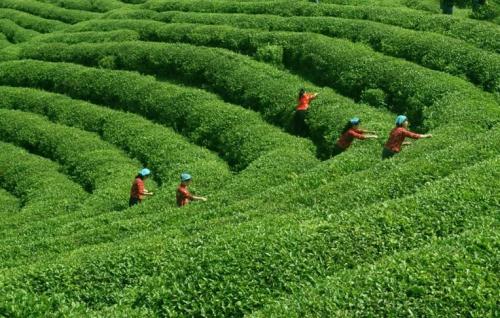 唐代古墓中出土一件诡异的瓷器,唐县出土的文物