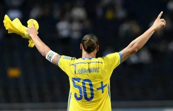 伊布欧洲杯凌空进球,伊布欧洲杯进球