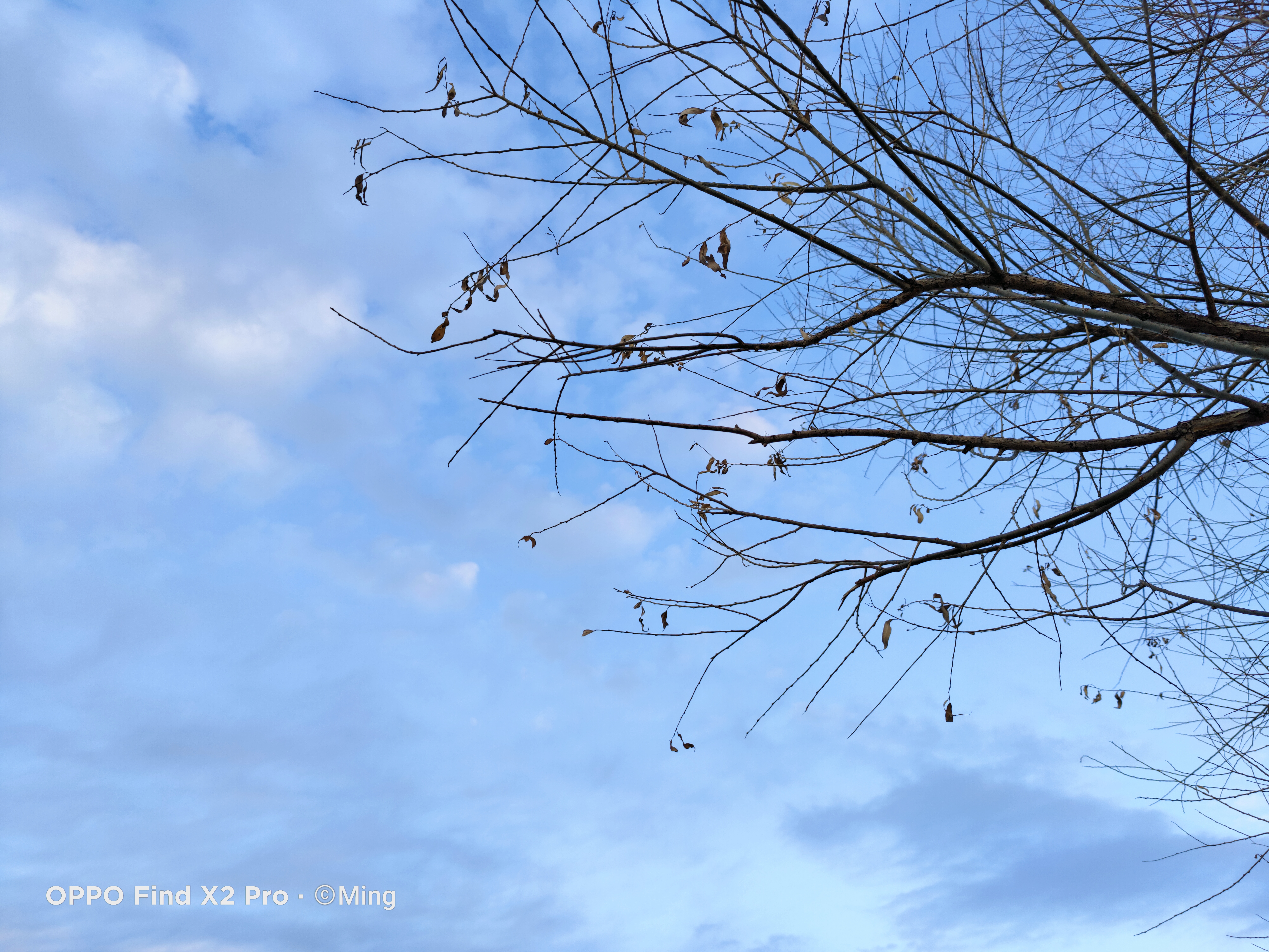 感受极致体验——OPPOFindX2Pro深度测评