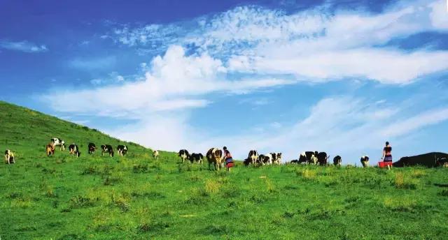 五一小众旅游推荐长沙周边,端午旅游推荐2-3天游长沙