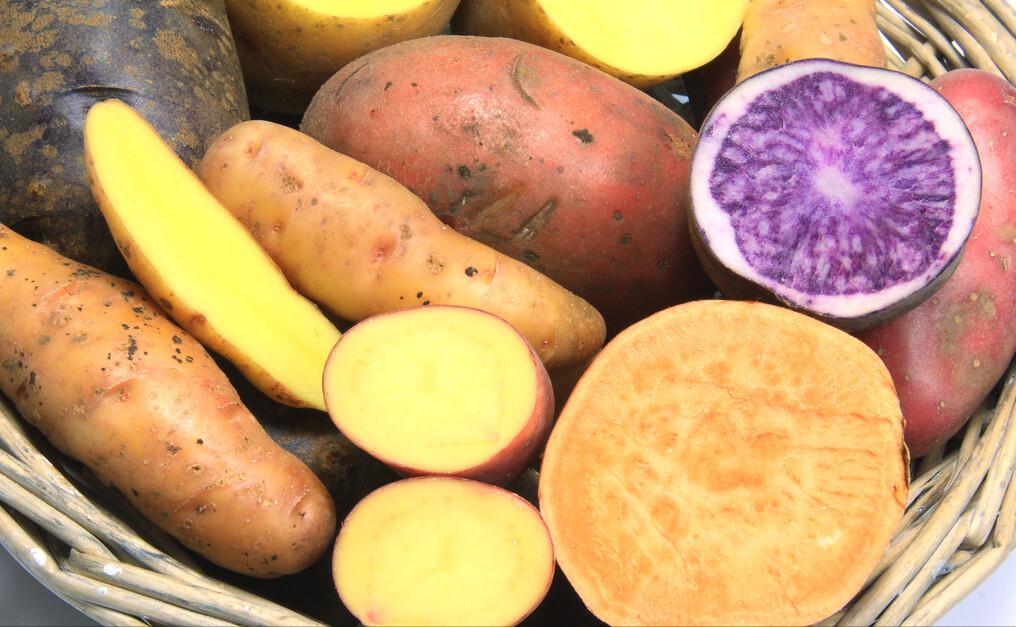 胃反酸中医怎么调理最有效,胃反酸怎么快速缓解