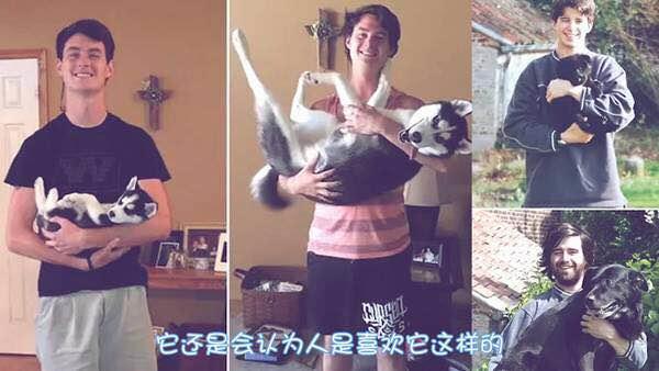 狗狗习惯性扑人怎么办？几个训练小技巧就能解决