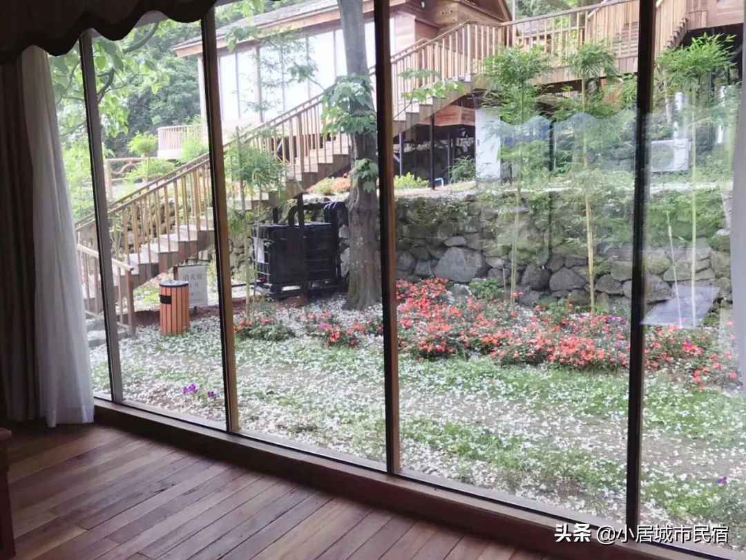 从化旅游景点大全樱花,从化樱花旅游景点