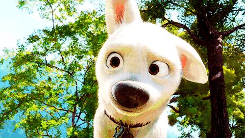 心航线夏令营北京,心航线夏令营怎么样