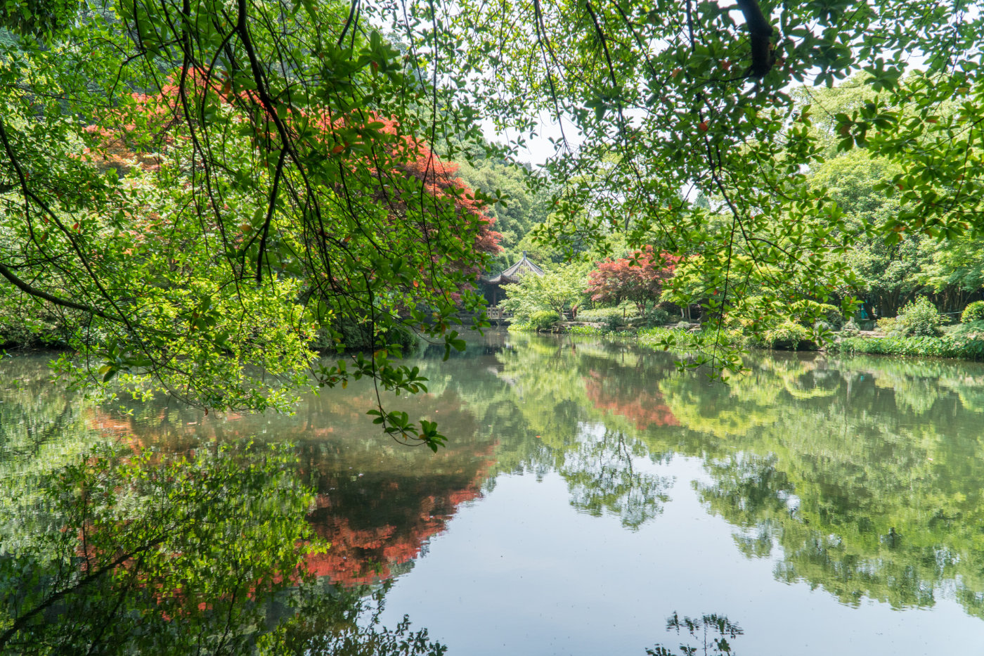 冬天雅致梦溪山庄杭州九溪店,雅致梦溪山庄杭州九溪店