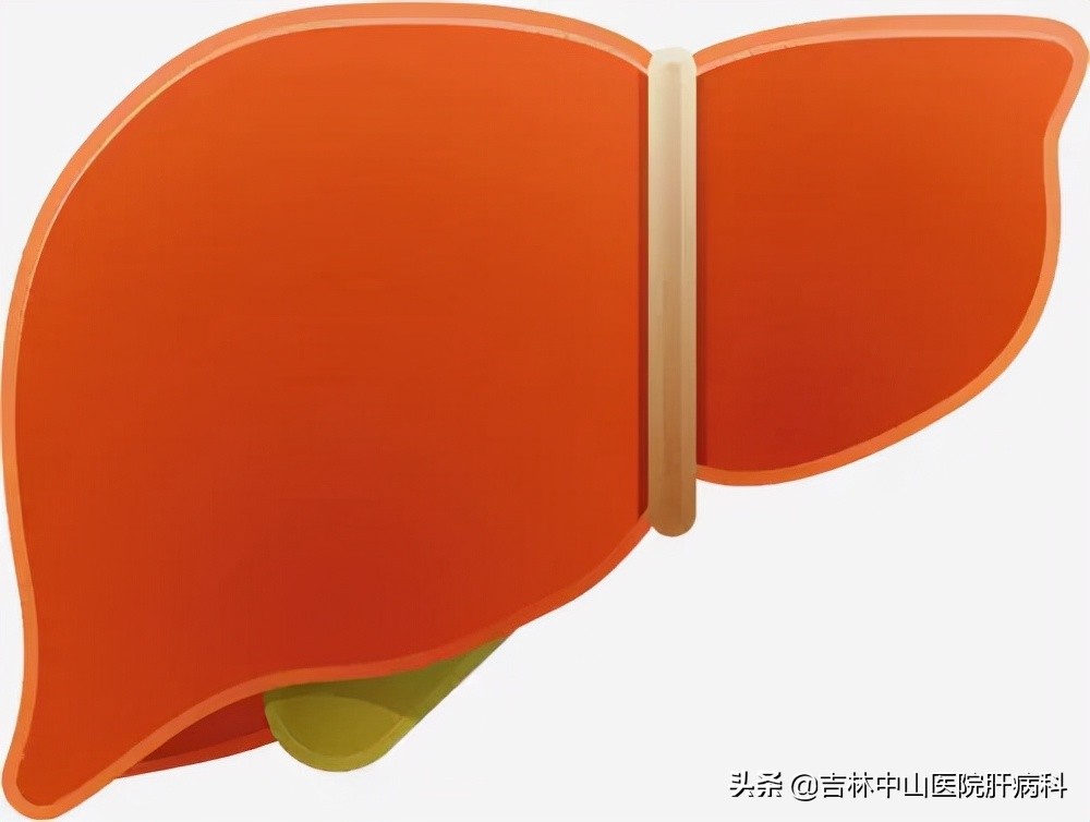 胆红素升高怎么办,胆红素升高怎么办呢