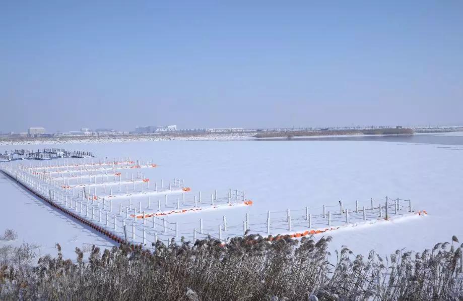 下雪后的海边图片大全,六月份的红海滩