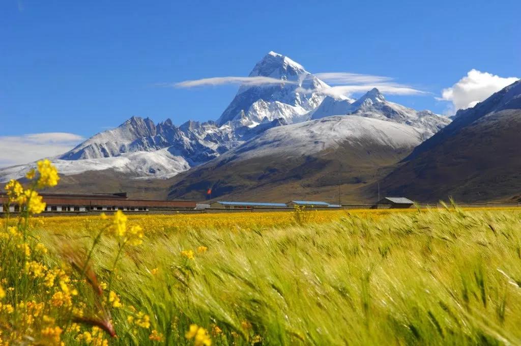 这些中国之最你知道吗,中国之最全部视频