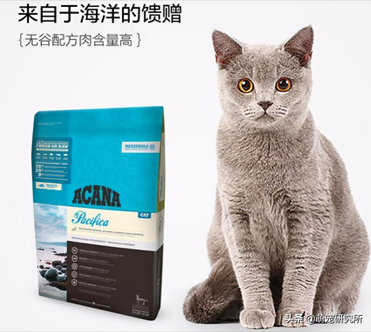 养猫必看的猫粮品牌,口碑最好的十大成猫猫粮