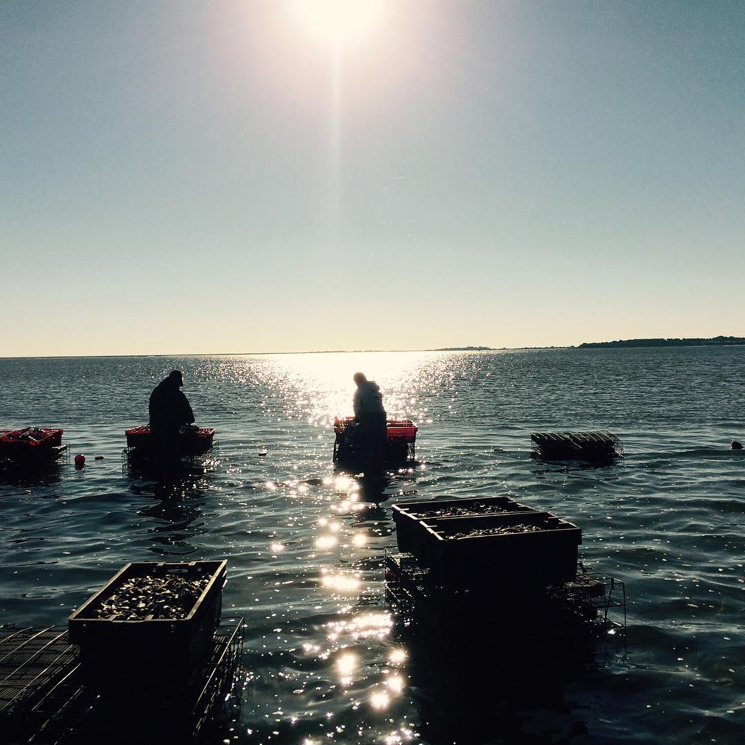 吃货看过来吃葡萄,吃货看过来美食也能开花