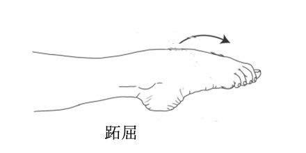 写在南丁格尔逝世纪念日——静脉曲张微创手术后，应该如何护理？