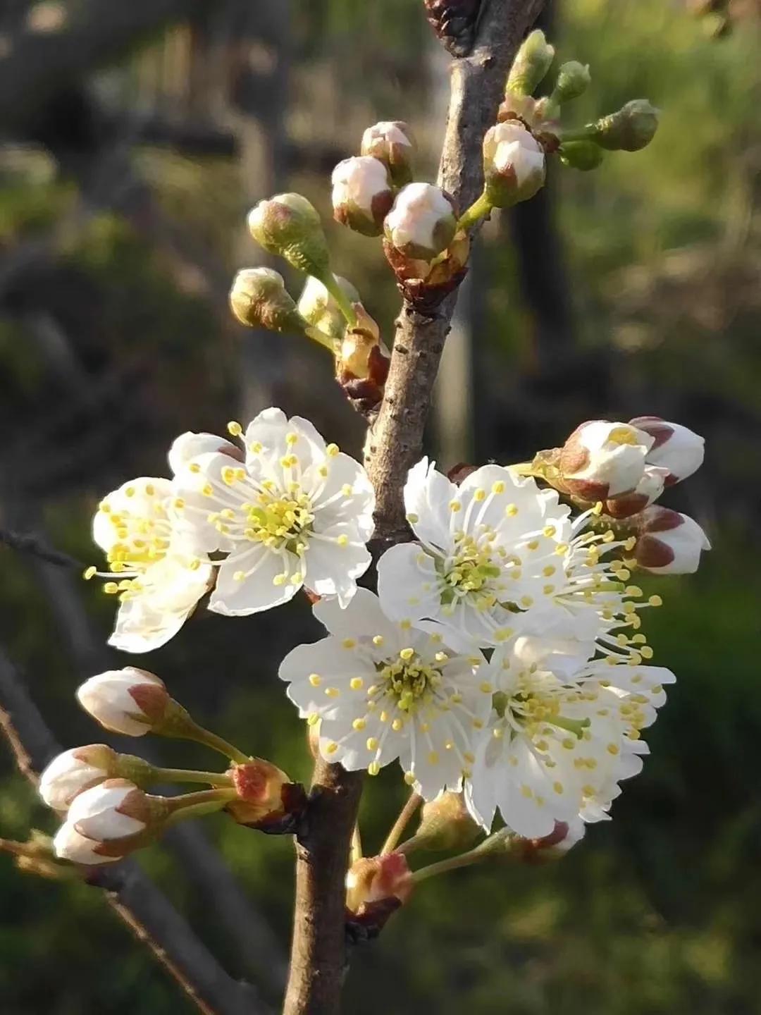 有一种缘份叫母女,有一种缘分我们要珍惜