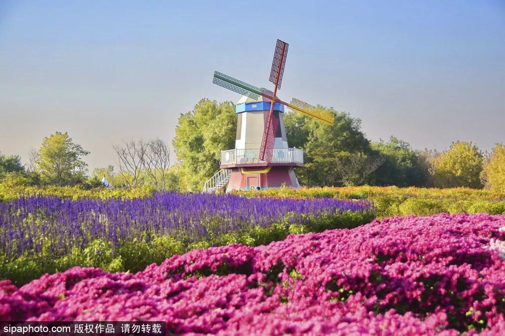 故宫近期有什么展,故宫600年大展怎么进入