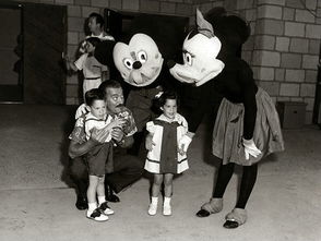 日本有哪些cosplay,日本的cosplay之都