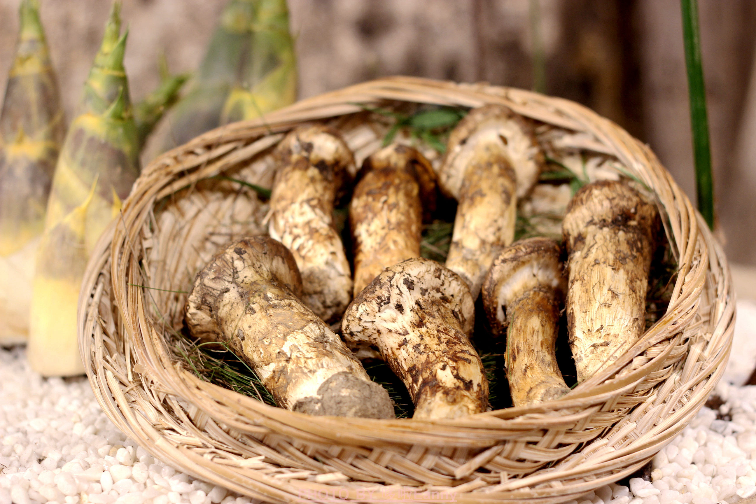素食也可以吃出仪式感,有仪式感的素食