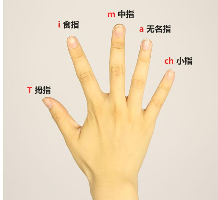 吉他入门零基础弹奏教程,吉他新手入门教程零基础如何弹奏