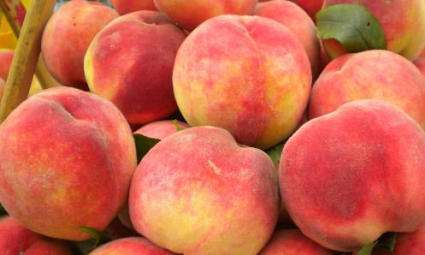 桃子怎样挑选最好吃,桃子挑选方法
