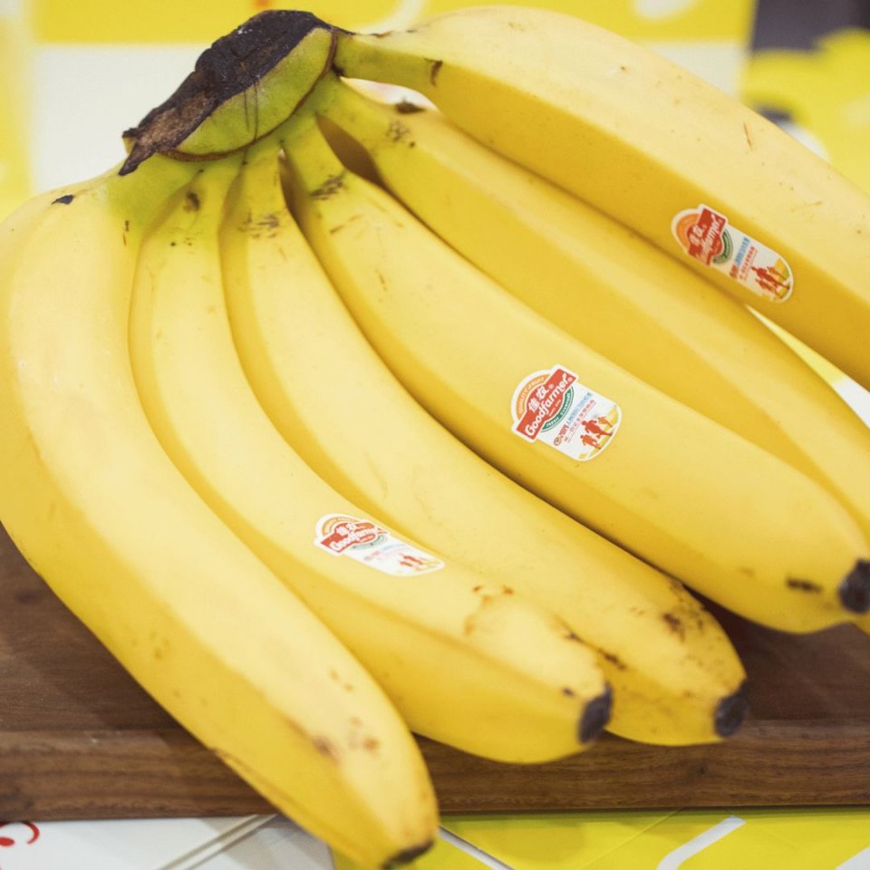 体育西甜品网红店,体育西网红面包