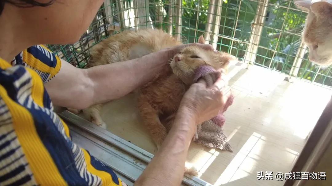 转发送粮，这次的E宠公益日记~看哭了