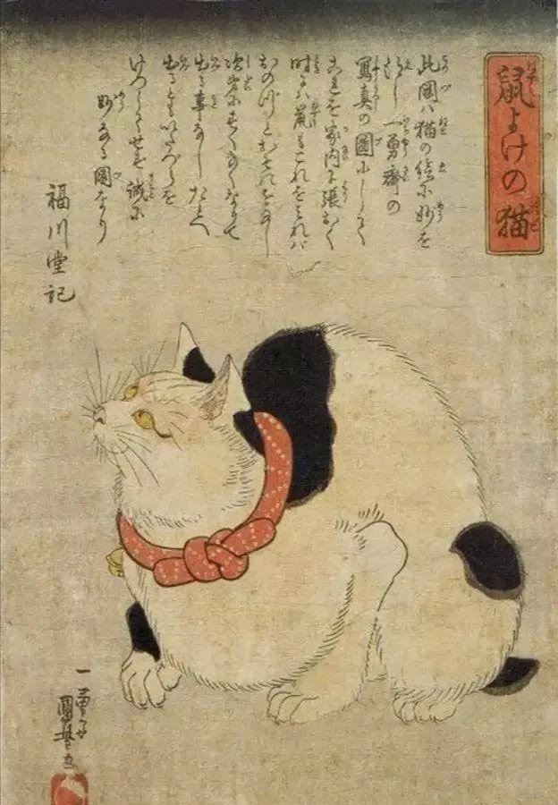 揭秘江湖骗局猜单双,揭秘古今江湖法术骗术