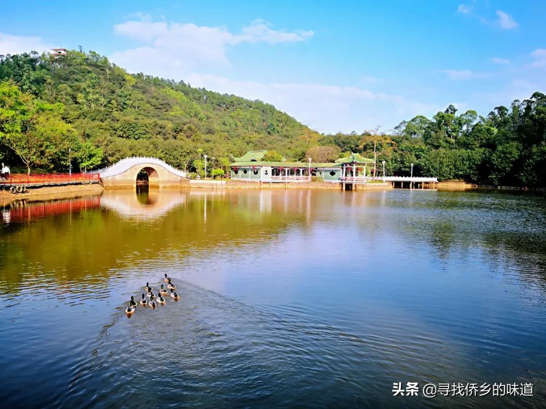 江门附近好玩的景区有哪些,江门再添4家国家3a级旅游景区