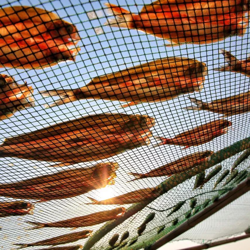 没有硬菜怎么下酒,宁波人吃年夜饭有什么菜