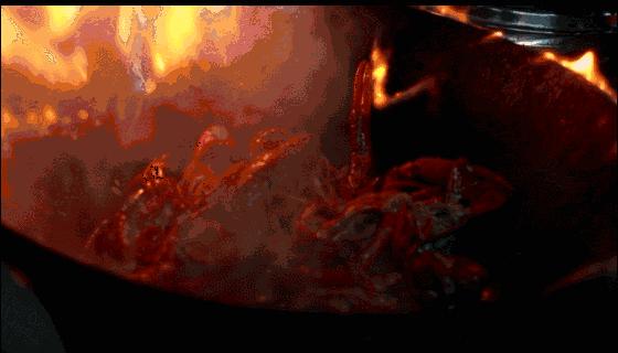 买核桃油确实是在交智商税！但是这位大V忽略了这些问题