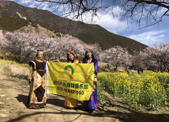 企业租车川藏线自驾游租车价格,附近租车服务川藏线租车