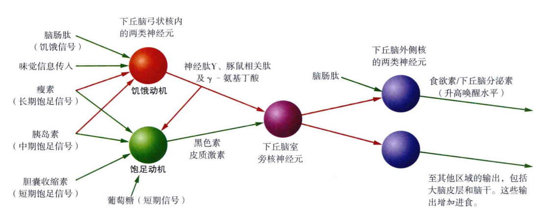 心理学的生物学基础知识,生物心理学知识书籍