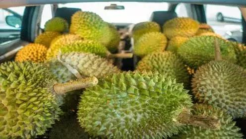 做完这期测评,朋友问我是不是吃“shi”了||美观测评