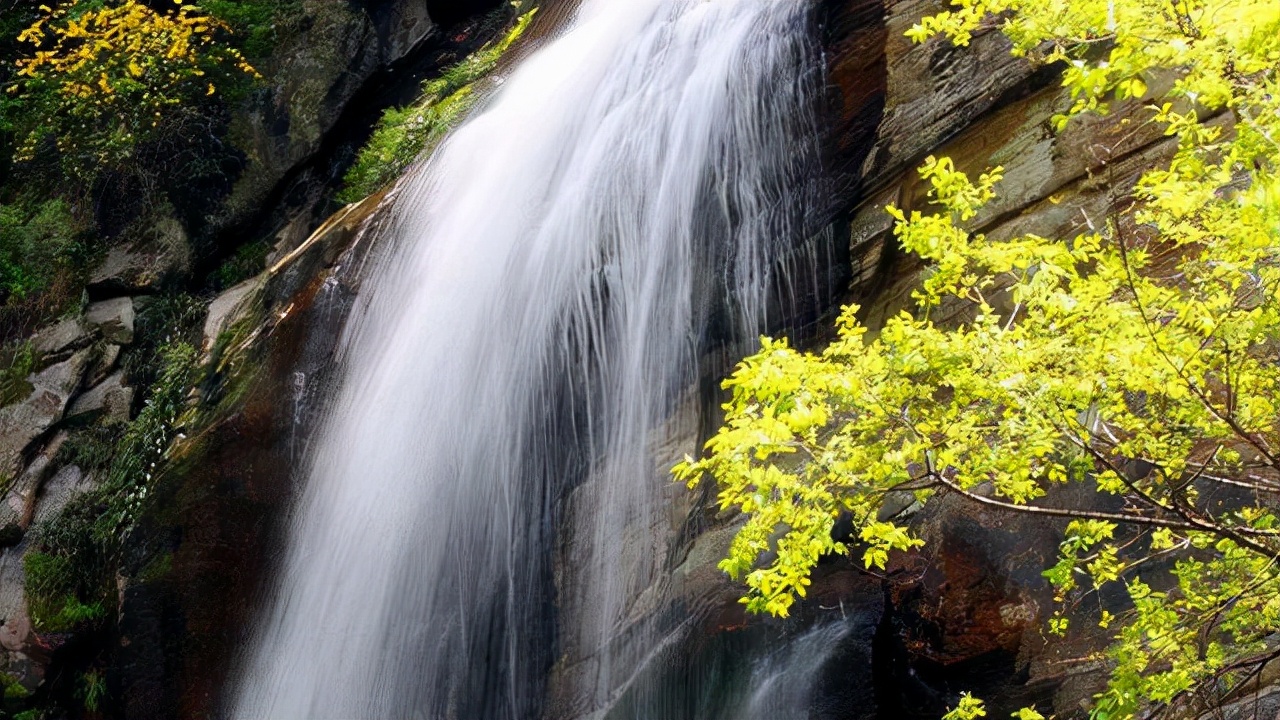 内部审计应该分析哪些财务数据,审计基础与实务银行存款审计