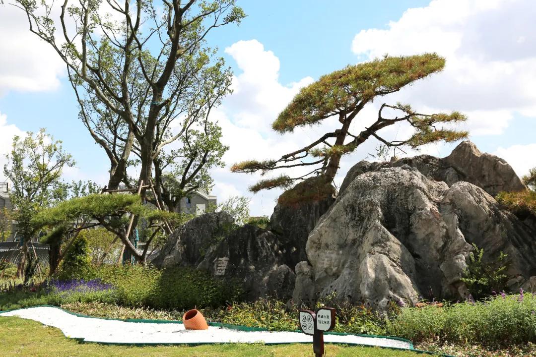 盐龙公园健身项目有哪些,盐龙体育公园室内