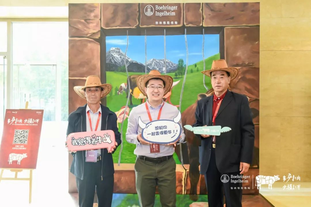 这一次，风口上站的是肉牛