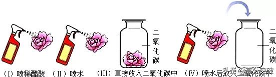 化学|高分突破「中考化学考点复习微课系列」4二氧化碳