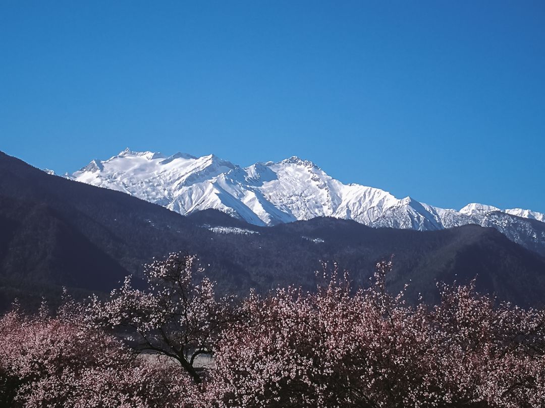 藏于山水间的度假酒店推荐,可以看日落和海景的度假酒店