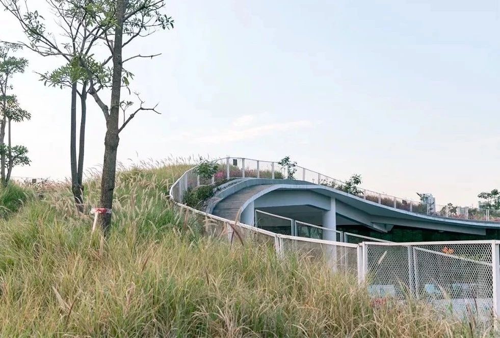 最美湖泊小众风景,最美湖泊西湖