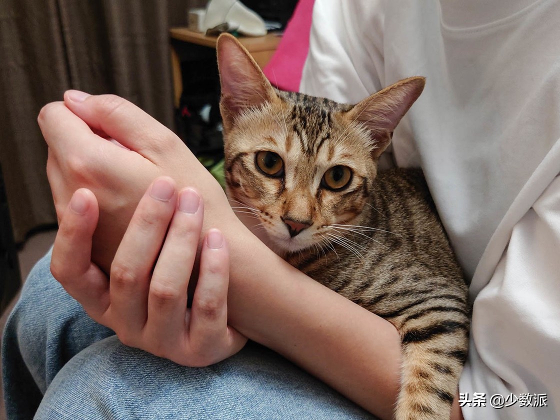 索尼手机xperia1ii真实体验,索尼xperia1ii现在还值得买吗