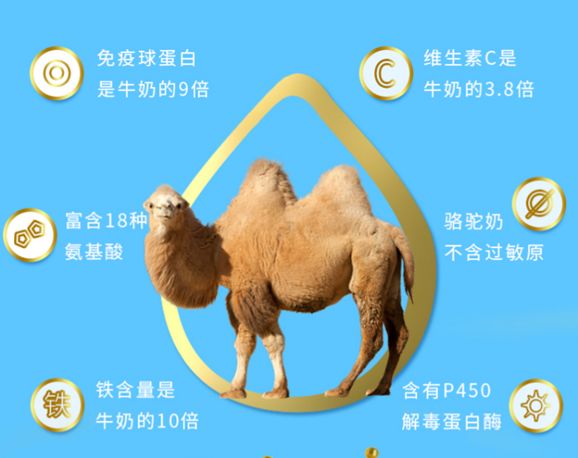 羊驼奶粉真的有效吗,羊驼奶粉有什么用