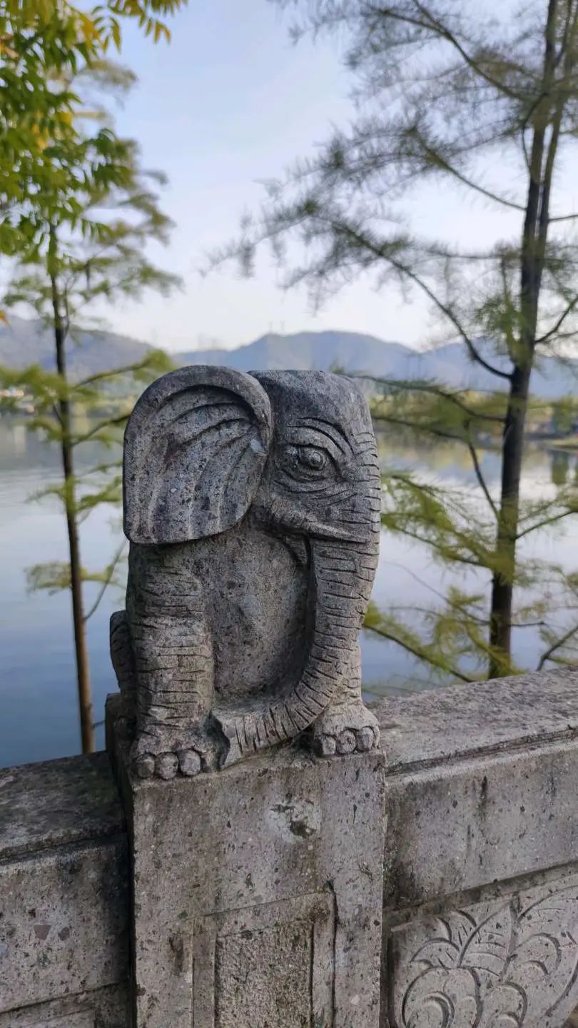 一周小结文字图片,小学一周小结怎么写