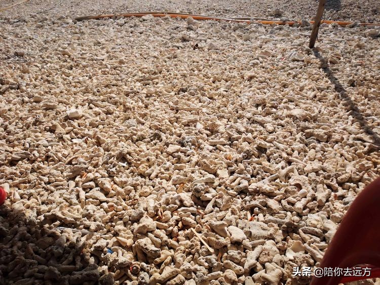 南海西沙岛礁全图,南海西沙群岛海域