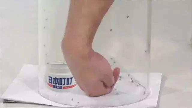 用什么方式灭蚊子,灭蚊子最有效的土方法
