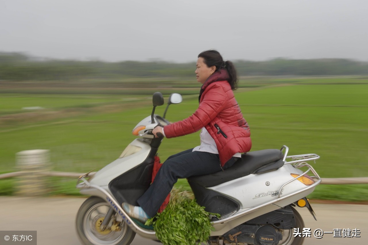 一目了然——《诗经》（256——265）