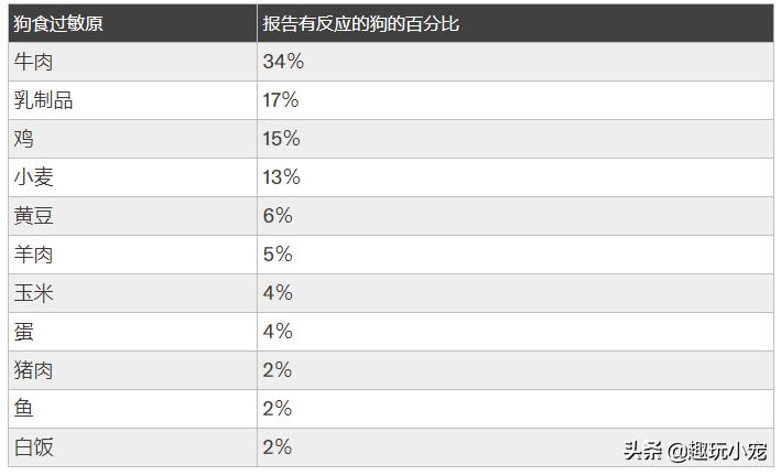 狗狗过敏了怎么办最快最有效,狗狗皮肤过敏吃单一肉食物