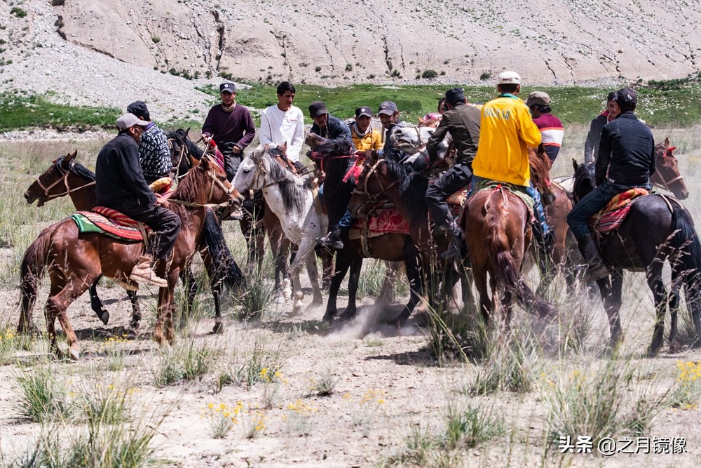 铁血雄鹰全剧,铁血雄鹰全文阅读